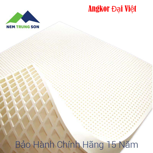 Nem-cao-su-thien-nhien-VinLatex-Trung-Sơn-3